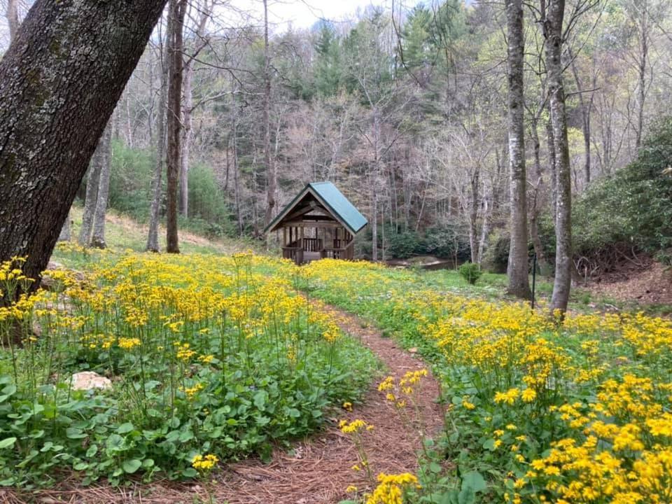 Little River Cabin Sparta Exterior foto
