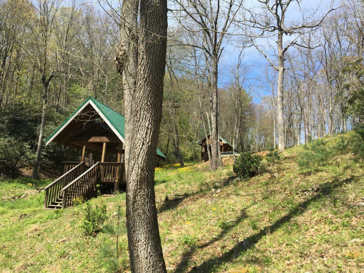 Little River Cabin Sparta Exterior foto